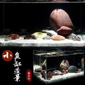 魚缸彩石圖片大全 魚缸彩石圖片大全 魚缸百科 第2張