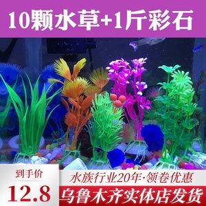 魚缸彩石圖片大全 魚缸彩石圖片大全 魚缸百科 第4張