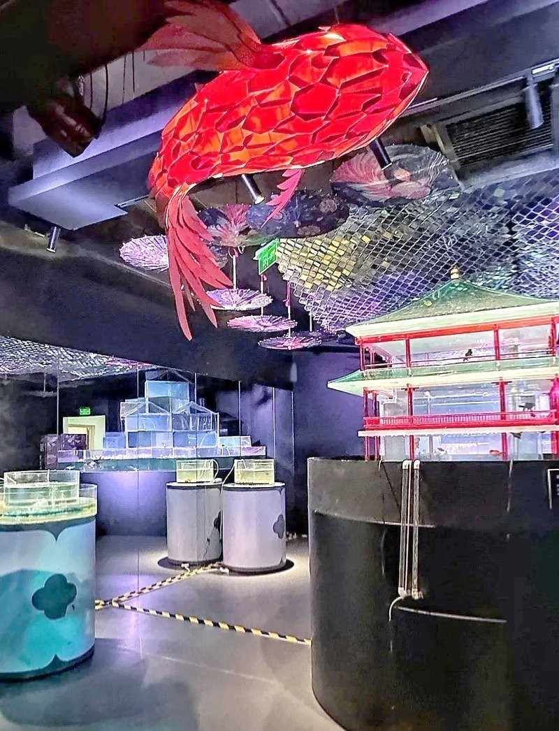 環宇城國風水族展何時結束？