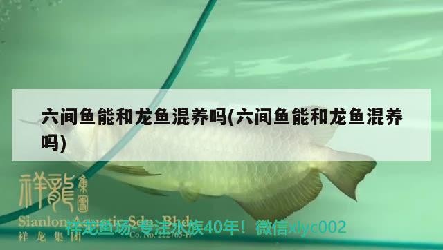 綏化市北林區澤升源水族店
