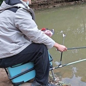 廣州釣魚網 廣州釣魚網 2025長城杯龍魚大賽 第3張