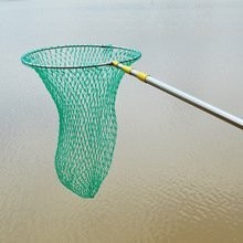 廣州釣魚網 廣州釣魚網 2025長城杯龍魚大賽 第1張