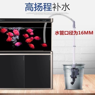 底濾魚缸怎么移動（29篇底濾魚缸移動注意事項(xiàng)底濾魚缸移動方法）