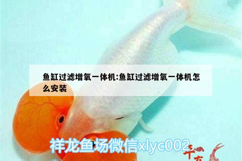 魚缸過濾增氧一體機(jī):魚缸過濾增氧一體機(jī)怎么安裝