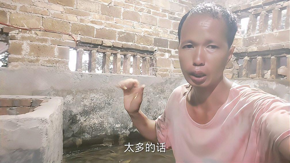 養2000只魚視頻 養2000只魚視頻 2025長城杯龍魚大賽 第1張
