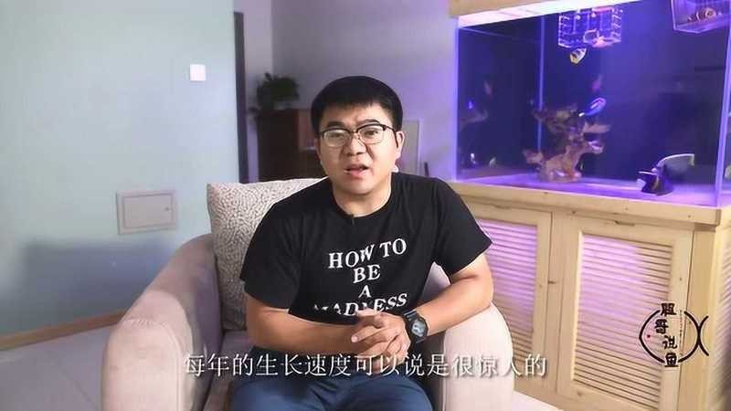 養2000只魚視頻 養2000只魚視頻 2025長城杯龍魚大賽 第5張