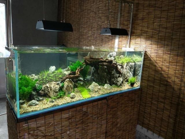 魚缸好壞的幾個標準（魚缸好壞的幾個標準魚缸好壞的幾個標準）