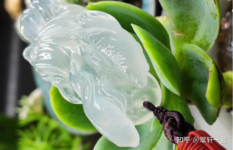 翡翠魚的寓意和象征