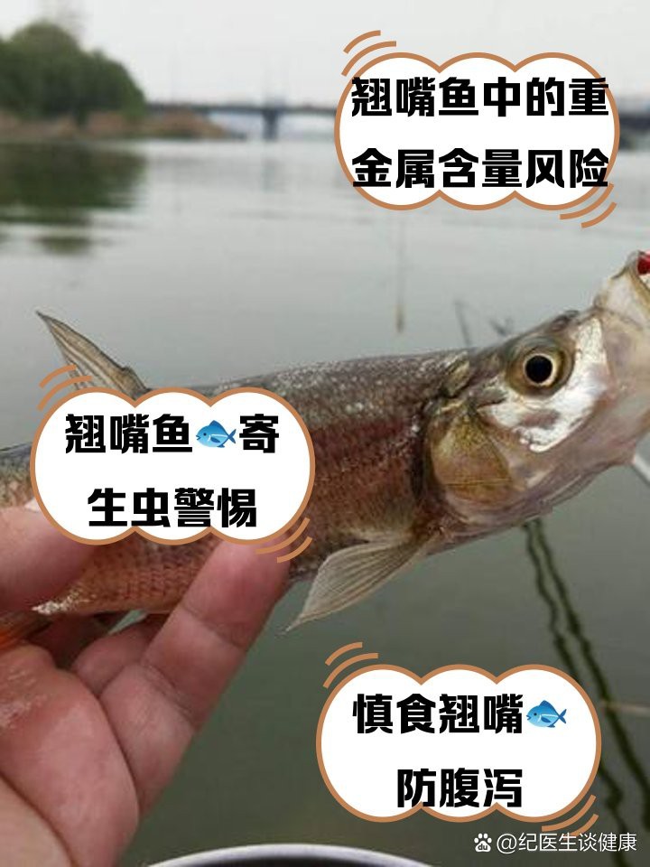大嘴魚為何要少吃