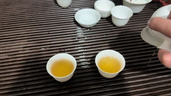 B站上有哪些紅龍魚視頻資源？ B站上有哪些紅龍魚視頻資源？ 2025長城杯龍魚大賽 第3張