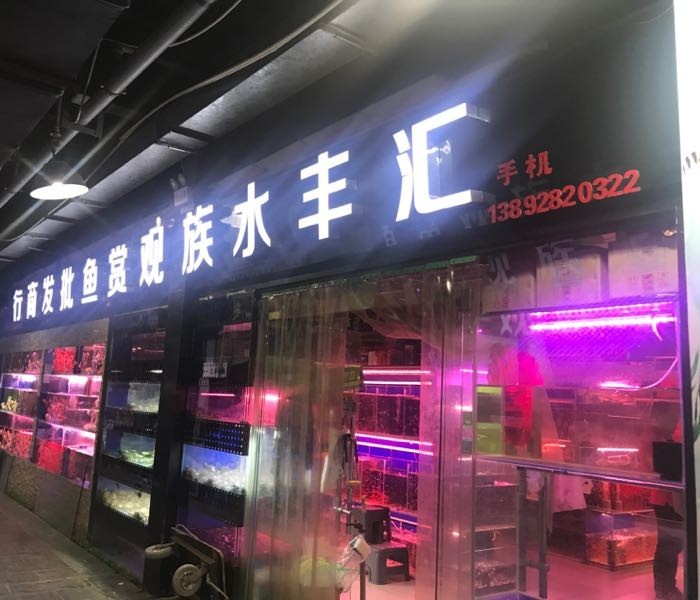 西安有哪些專業(yè)的水族市場(chǎng)？