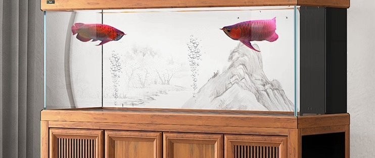 龍魚專用設備有哪些知名品牌？