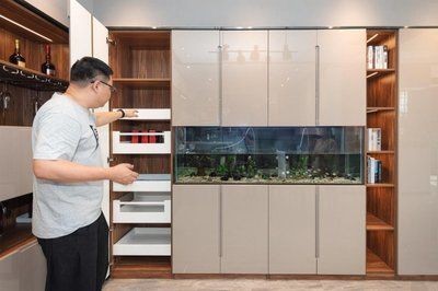 漢霸魚缸定制魚缸服務(wù)提供個性化定制魚缸服務(wù)推薦：如何選擇魚缸品牌