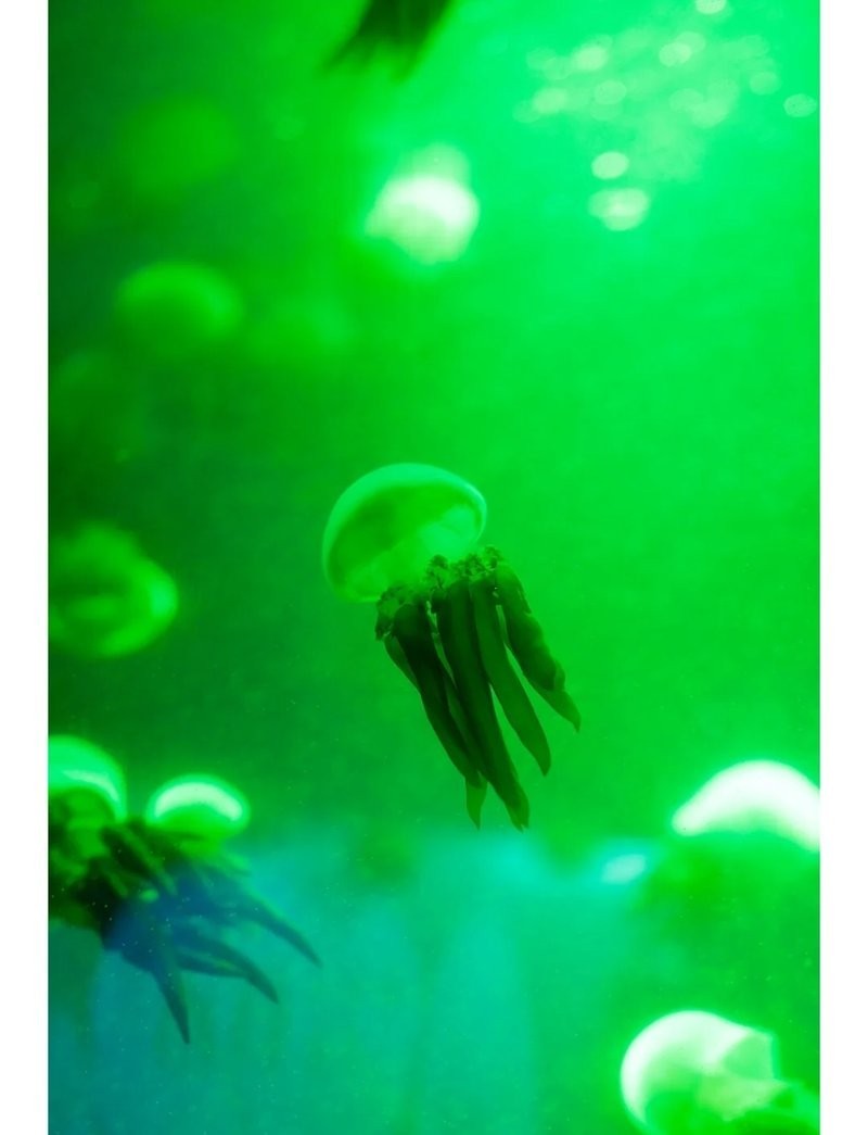 如何前往徐州水族展覽館？