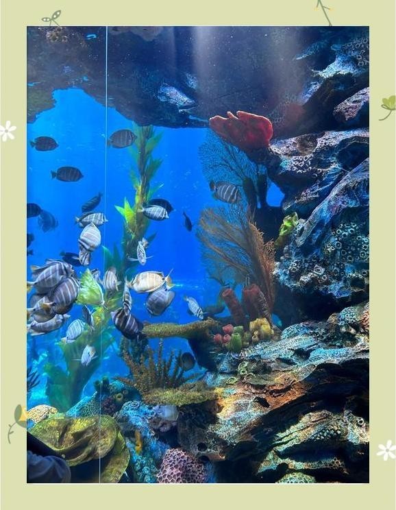 如何前往徐州水族展覽館？