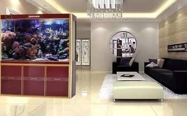 魚缸可以只放水不養魚嗎：魚缸中只放水而不添加任何魚類是可能的 魚缸可以只放水不養魚嗎：魚缸中只放水而不添加任何魚類是可能的 魚缸百科 第4張