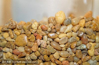 魚缸放置石頭的注意事項：風水學中魚缸放石頭是否合適之前需要了解風水學的基本原則