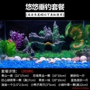 魚缸口碑好的：口碑良好的魚缸品牌