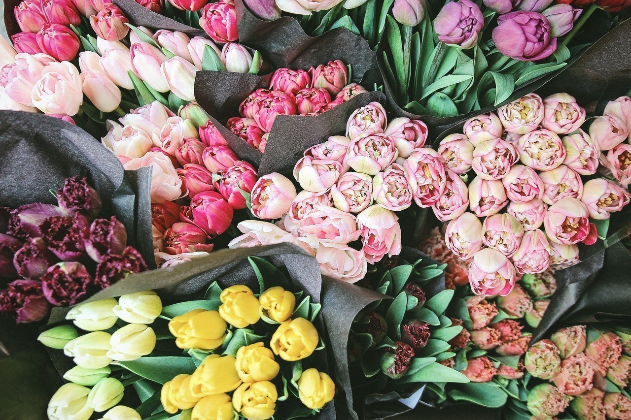 唐山市豐南區豐南鎮鋼強花店（唐山市豐南區豐南鎮鋼強花店電話）