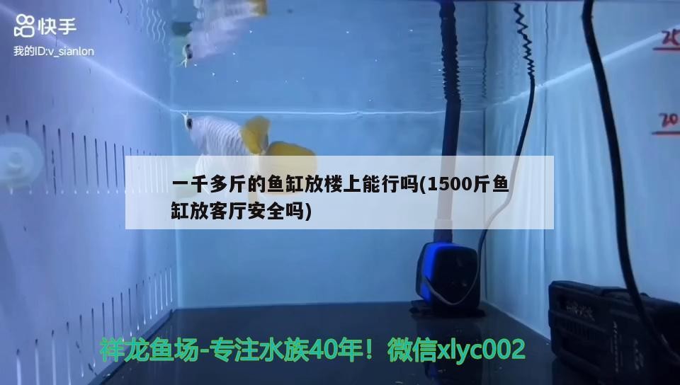 魚缸過濾器選購指南:自制魚缸過濾器魚缸上置過濾器對于養魚愛好者的必備知識 一千多斤的魚缸放樓上能行嗎(1500斤魚缸放客廳安全嗎) 龍魚百科 一千多斤的魚缸放樓上能行嗎(1500斤魚缸放客廳安全嗎) 一千多斤的魚缸放樓上能行嗎(1500斤魚缸放客廳安全嗎) 龍魚百科