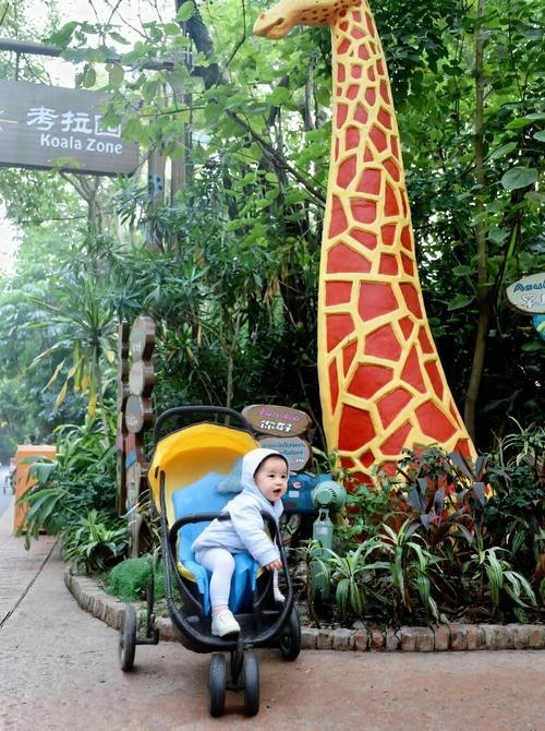 長隆野生動物園門票優惠政策