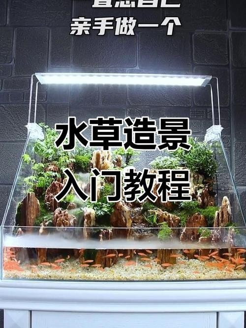 水草造景獲獎作品圖片 2025長城杯龍魚大賽 第13張 水草造景獲獎作品圖片 水草造景獲獎作品圖片 2025長城杯龍魚大賽 第13張