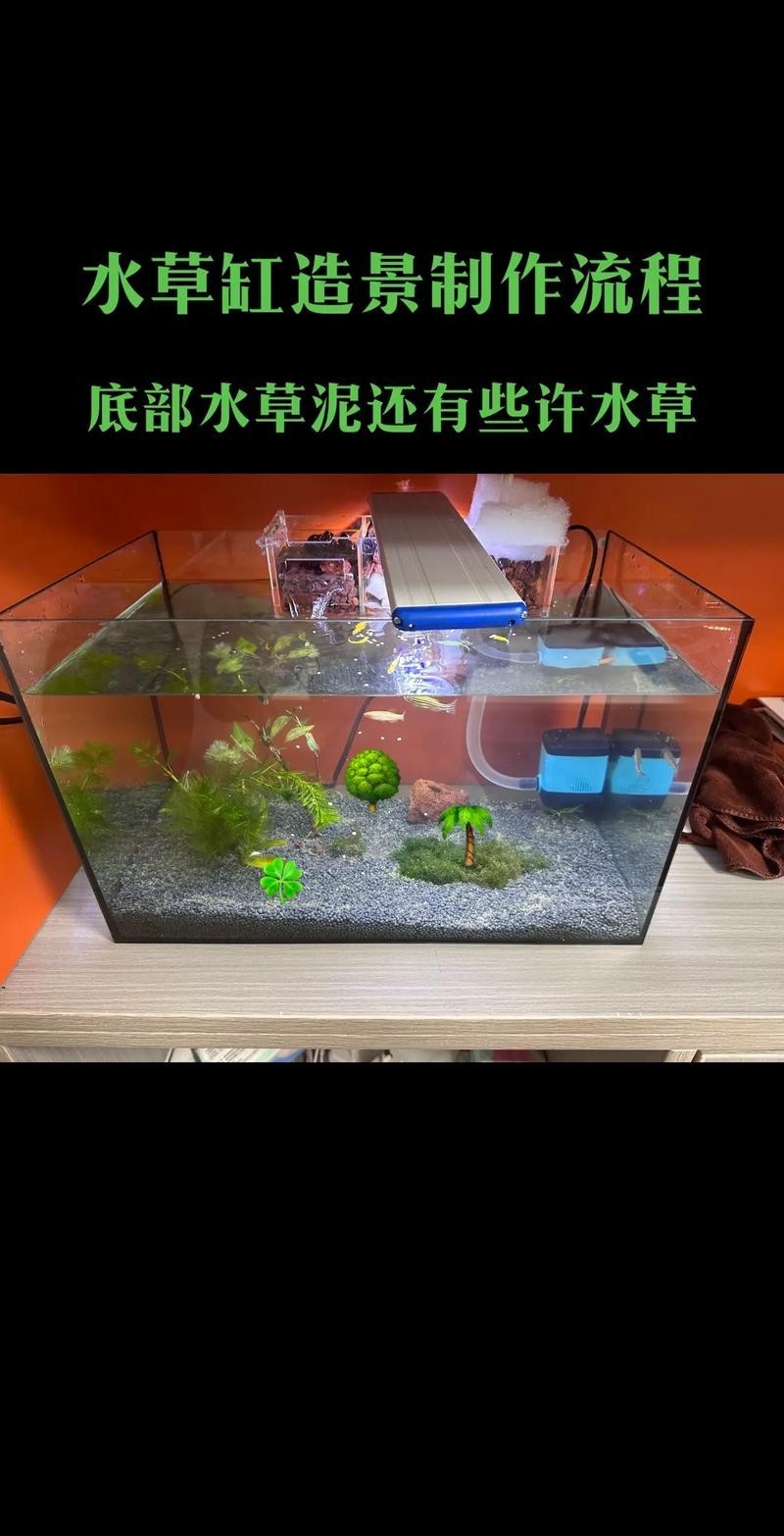 水草造景獲獎作品圖片 2025長城杯龍魚大賽 第21張 水草造景獲獎作品圖片 水草造景獲獎作品圖片 2025長城杯龍魚大賽 第21張