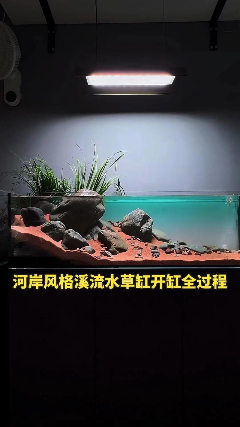 水草造景獲獎作品圖片 2025長城杯龍魚大賽 第16張 水草造景獲獎作品圖片 水草造景獲獎作品圖片 2025長城杯龍魚大賽 第16張