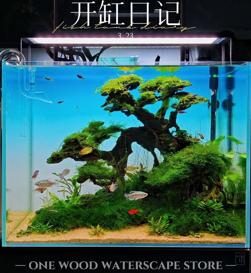水草造景獲獎作品圖片 2025長城杯龍魚大賽 第14張 水草造景獲獎作品圖片 水草造景獲獎作品圖片 2025長城杯龍魚大賽 第14張