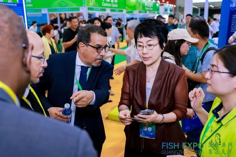如何獲取廣州龍魚展會的最新動態？ 如何獲取廣州龍魚展會的最新動態？ 2025長城杯龍魚大賽 第4張