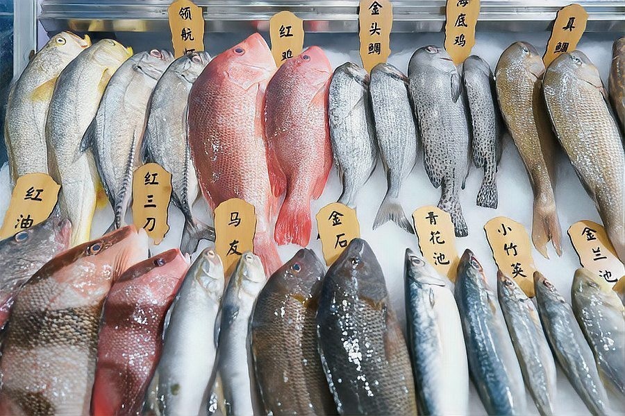 如何獲取廣州龍魚展會的最新動態？ 如何獲取廣州龍魚展會的最新動態？ 2025長城杯龍魚大賽 第3張