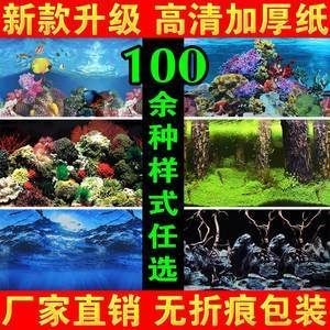 魚缸圖畫背景貼紙設(shè)計：珊瑚礁生態(tài)揭秘珊瑚礁生態(tài)揭秘珊瑚礁生態(tài)揭秘珊瑚礁生態(tài)揭秘 魚缸圖畫背景貼紙設(shè)計：珊瑚礁生態(tài)揭秘珊瑚礁生態(tài)揭秘珊瑚礁生態(tài)揭秘珊瑚礁生態(tài)揭秘 魚缸百科 第4張