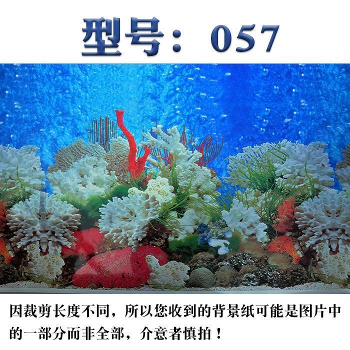 魚缸圖畫背景貼紙設(shè)計：珊瑚礁生態(tài)揭秘珊瑚礁生態(tài)揭秘珊瑚礁生態(tài)揭秘珊瑚礁生態(tài)揭秘 魚缸圖畫背景貼紙設(shè)計：珊瑚礁生態(tài)揭秘珊瑚礁生態(tài)揭秘珊瑚礁生態(tài)揭秘珊瑚礁生態(tài)揭秘 魚缸百科 第3張