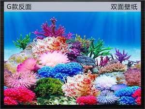 魚缸圖畫背景貼紙設(shè)計：珊瑚礁生態(tài)揭秘珊瑚礁生態(tài)揭秘珊瑚礁生態(tài)揭秘珊瑚礁生態(tài)揭秘 魚缸圖畫背景貼紙設(shè)計：珊瑚礁生態(tài)揭秘珊瑚礁生態(tài)揭秘珊瑚礁生態(tài)揭秘珊瑚礁生態(tài)揭秘 魚缸百科 第1張