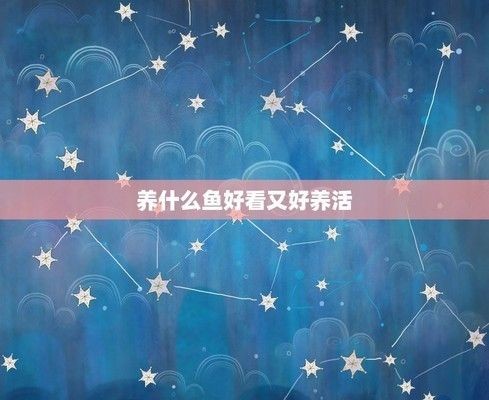 夸夸魚(yú)缸里的魚(yú)好看：夸獎(jiǎng)魚(yú)缸里魚(yú)好看的句子 夸夸魚(yú)缸里的魚(yú)好看：夸獎(jiǎng)魚(yú)缸里魚(yú)好看的句子 魚(yú)缸百科 第3張