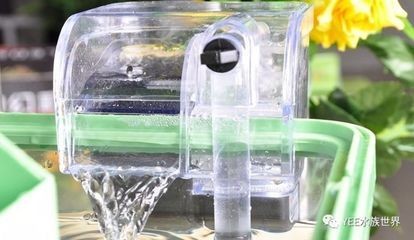 物理過濾與生化過濾的區(qū)別：底濾魚缸需要什么濾材