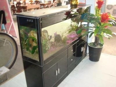 廣興水族魚缸工藝廠的使用體驗：廣興水族魚缸工藝廠[需手動填充]廣興水族魚缸工藝廠的使用體驗