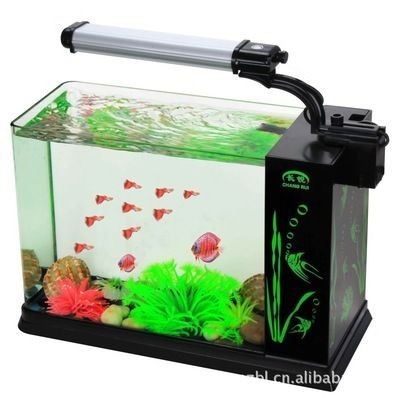 廣興水族魚缸工藝廠的使用體驗：廣興水族魚缸工藝廠[需手動填充]廣興水族魚缸工藝廠的使用體驗