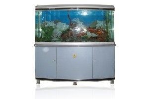 廣興水族魚缸工藝廠的使用體驗：廣興水族魚缸工藝廠[需手動填充]廣興水族魚缸工藝廠的使用體驗
