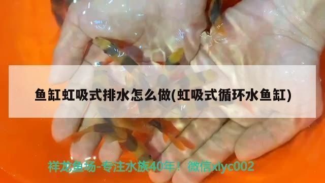 魚缸虹吸現象：魚缸虹吸換水操作常見問題及解決魚缸虹吸操作常見問題及解決