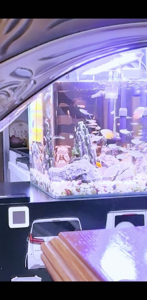 長城水族展 長城水族展 2025長城杯龍魚大賽 第5張