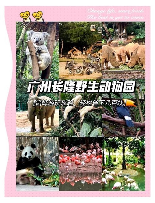 長隆門票有效期是多久？ 長隆門票有效期是多久？ 2025長城杯龍魚大賽 第11張