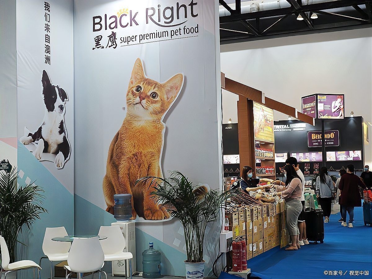 觀賞魚品種大全及種類有哪些，觀賞魚品種大全及圖片和名字