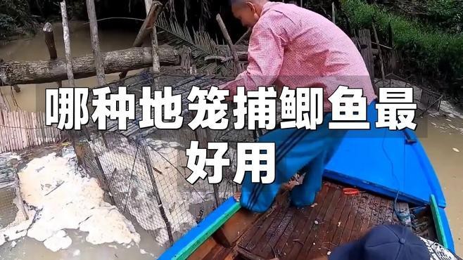 地籠好還是傘狀地籠好 地籠好還是傘狀地籠好 龍魚論壇 第4張