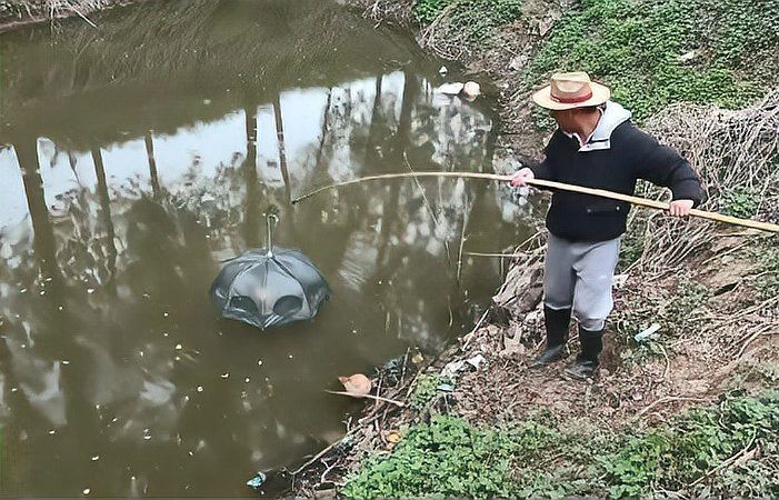 地籠好還是傘狀地籠好 地籠好還是傘狀地籠好 龍魚論壇 第6張