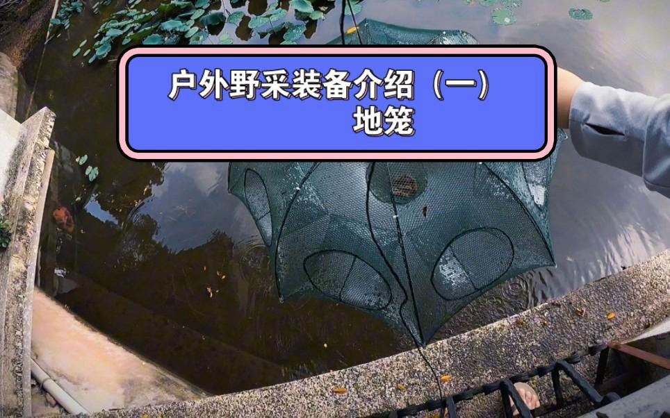 地籠好還是傘狀地籠好 地籠好還是傘狀地籠好 龍魚論壇 第5張