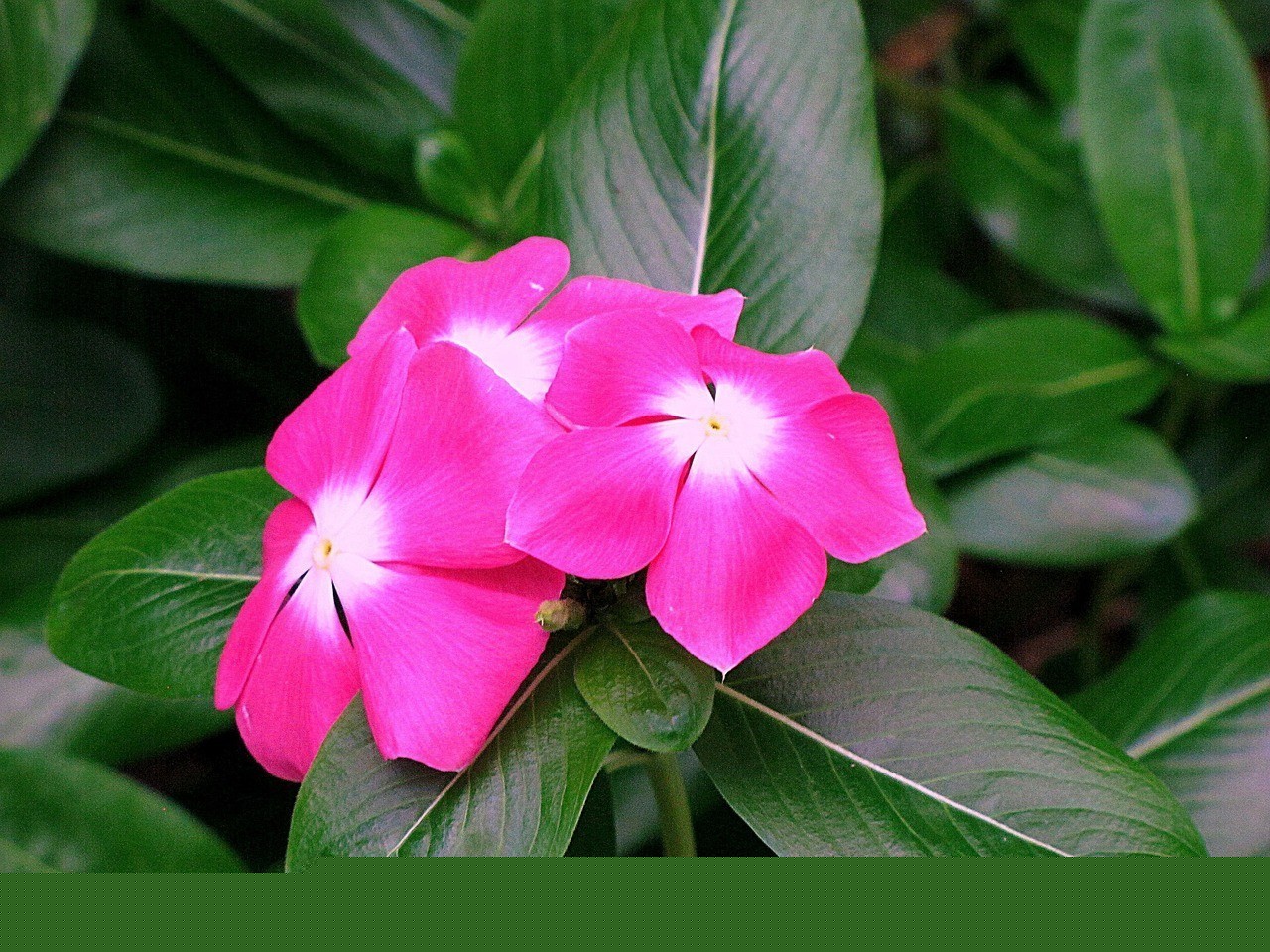 長春市南關區花樣花道鮮花店(長春市南關區花樣花道鮮花店地址) 全國水族館企業名錄 長春市南關區花樣花道鮮花店(長春市南關區花樣花道鮮花店地址) 長春市南關區花樣花道鮮花店(長春市南關區花樣花道鮮花店地址) 全國水族館企業名錄
