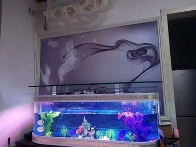 電視柜擺放魚缸在風水學中的禁忌之“沒頂水”或稱“淋頭水”：電視柜上擺放魚缸有什么講究