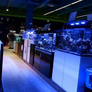 森森魚缸專賣店一覽表