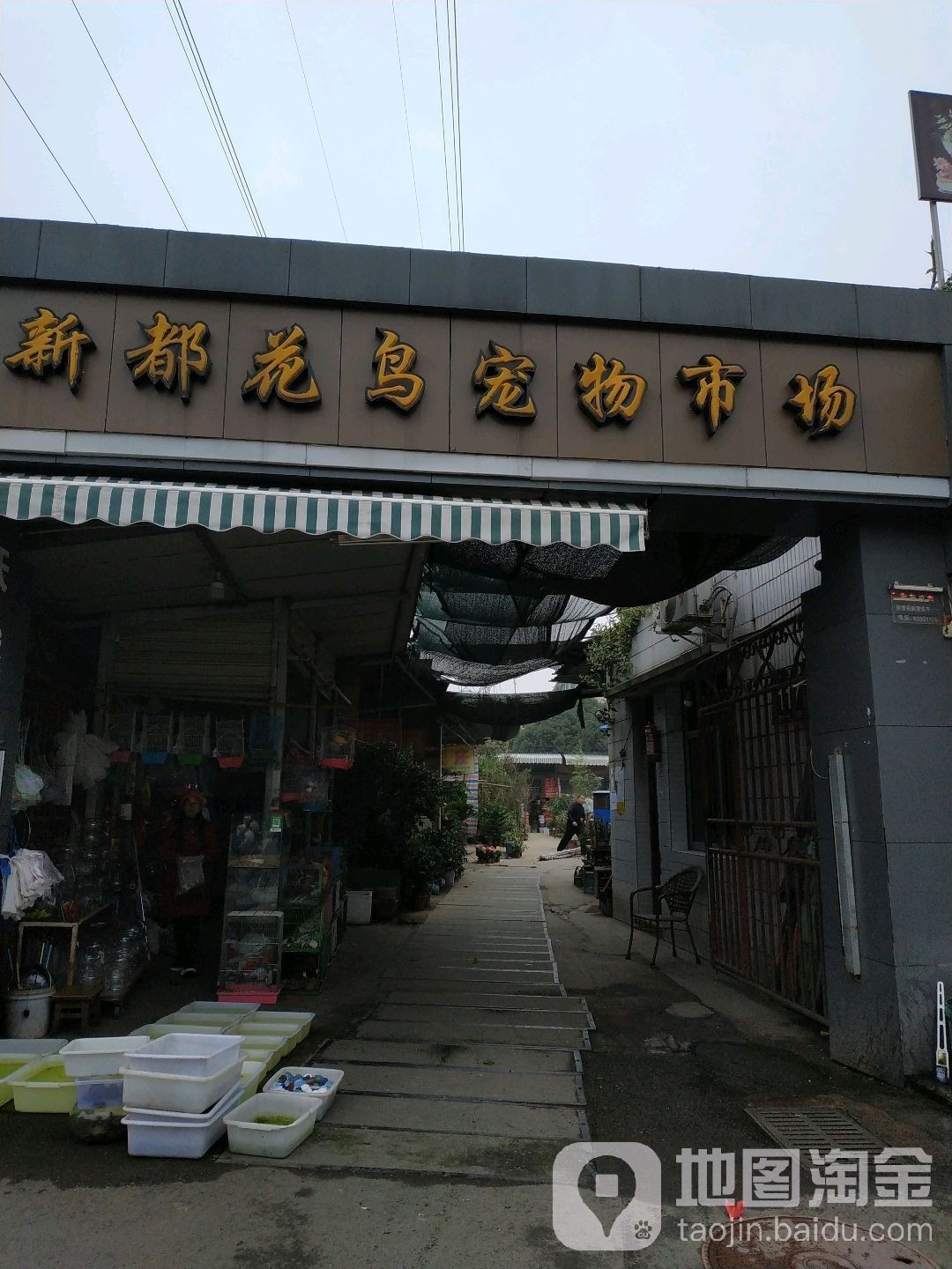 成都龍魚市場